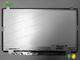 Platte N101LGE-L11 10,4 Zoll Innolux LCD mit Beschriftungsbereich 222.72×125.28 Millimeter