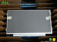 Zoll industrielle AUO LCD B101AW02 V0 10,1 Platte für 60Hz Entwurf 243×146.5×3.6 Millimeter