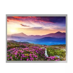 MVA 10,4 Schnittstelle TFT LCD-Modul Zoll TFT LCD-Anzeigen-G104X1-L04 LVDS