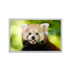 12,1 Platte 800*600 G121S1-L02 Umdr. C4 des Zoll-AUO LCD/Anzeigen-Modul Umdr. C6 TFT LCD
