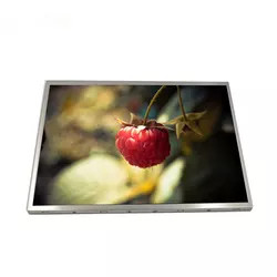 Nissen TFT LCD-Modul G121SN01 V403 AUO LCD des Platten-12,1 Zoll-800x600 500